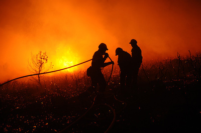 スペイン北西部で100件の森林火災
