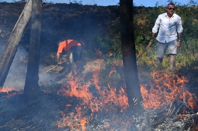 フランス南部森林火災、1万人が避難 EUに支援要請も