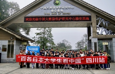 日本の大学生訪中団、四川でパンダ「シャンシャン」と再会