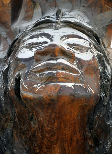 チリのチャイテン火山が再び噴火 最後の住民も避難へ