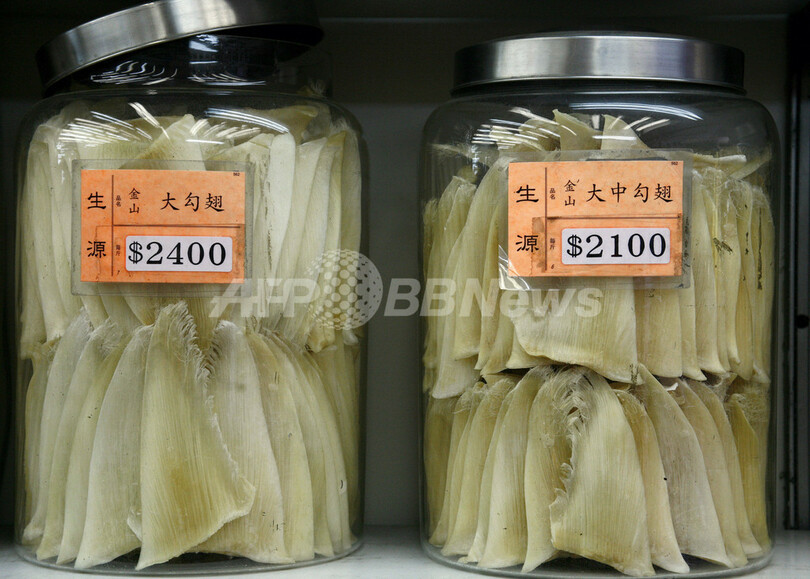 香港、「フカヒレ」の街