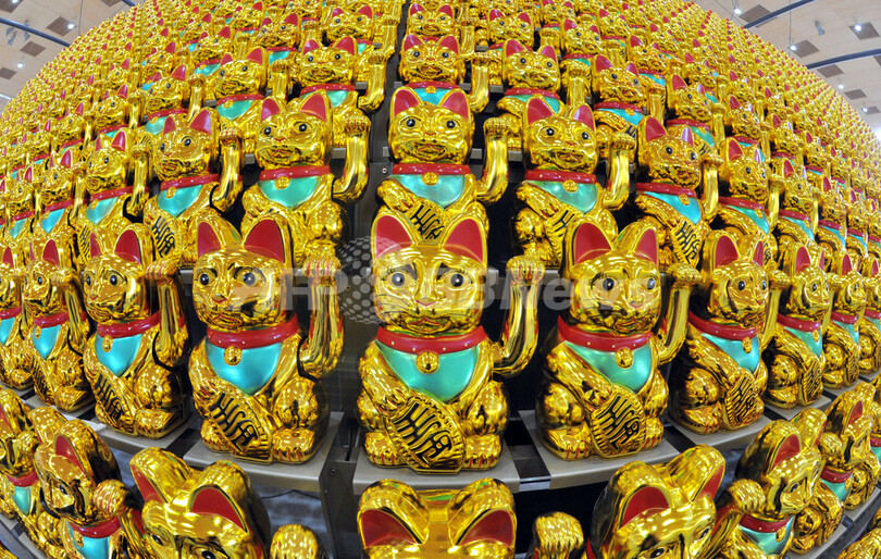 招き猫ずらり並べて「福よ来い」？独美術展の楽しい個性派アート