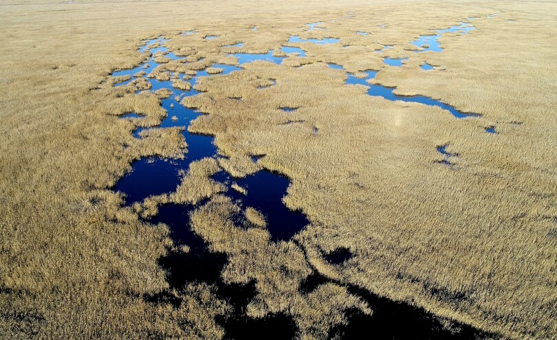国際重要湿地7カ所を新たに指定 中国国家林業・草原局