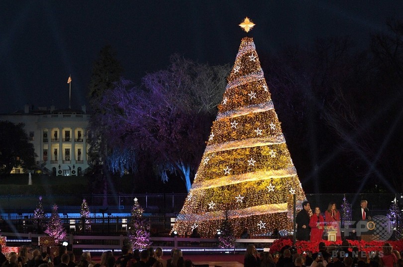 米首都でクリスマスツリー点灯式 アーティストのパフォーマンスも 写真17枚 国際ニュース Afpbb News