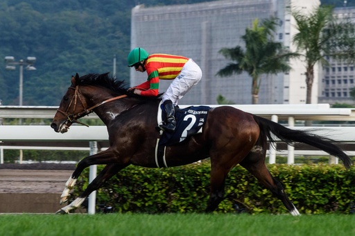 モーリスが香港カップ制す、ヴァーズはサトノクラウンが優勝 写真6枚