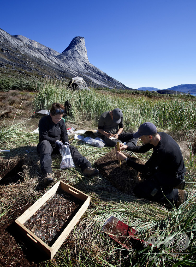 デンマーク グリーン ランド