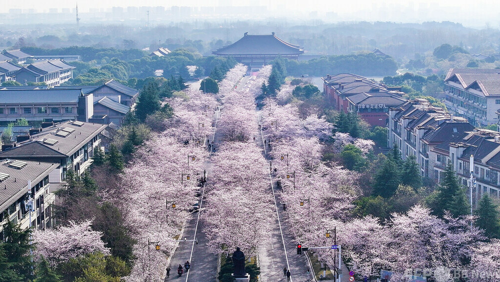 中国人観光客 8割以上が「旅行前に詳細計画を作成」