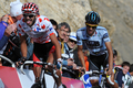 2011ツール・ド・フランス（2011 Tour de France）、第18ステージ（ピネローロからガリビエ峠、200.5キロメートル）。レースに臨むオメガファルマ・ロット（Omega Pharma-Lotto）のジェリ・ヴァネンデール（Jelle Vanendert、左）とサクソバンク・サンガード（Saxo Bank-Sungard）のアルベルト・コンタドール（Alberto Contador、2011年7月21日撮影）。(c)AFP/LIONEL BONAVENTURE
