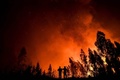 ポルトガル中部で発生した山火事（2019年7月21日撮影）。(c)PATRICIA DE MELO MOREIRA / AFP
