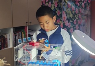 中国の中学生が発明した環境保護装置、国際発明展の中国地区で一等賞