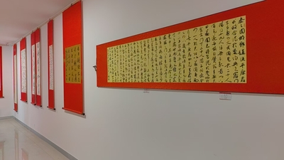 安徽省蕪湖で現代書家・黄濤さんの作品展 写真10枚 国際ニュース
