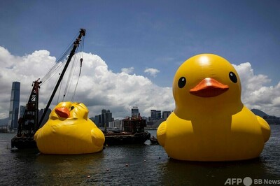 img_9cbaebf65e2254dbb31fd3833b