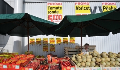 フランスの市場はメロンだらけに？収穫過多で農家苦悩、フランス