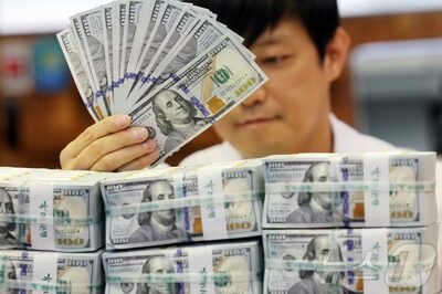 韓国・外貨準備高が危機的水準に？…「非常戒厳」の余波で4000億ドル割れの懸念