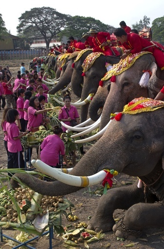 並んでごちそうに舌鼓、タイ「ゾウの日」