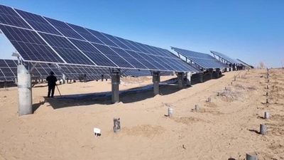 動画:太陽光パネルの「すき間」活用 中国新疆で進む砂漠化対策