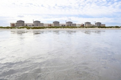 仏グラブリーヌ原発 大量のクラゲ「侵入」で原子炉3基停止