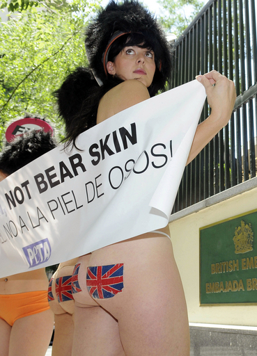 PETA、クマの毛皮を使った英国近衛兵の帽子に抗議 スペイン