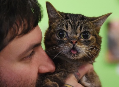ニャンちゃん好きの集い「CatConLa」、米LAで初開催