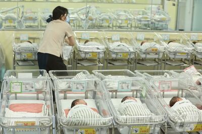 韓国・20人に1人は「婚外出生児」…2017年から毎年増加