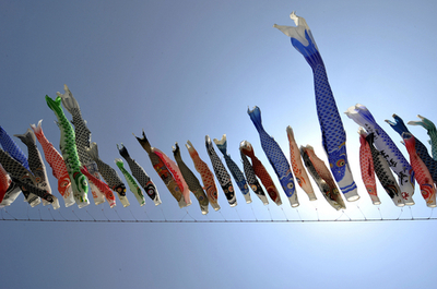 もうすぐこどもの日！1200匹のこいのぼりがお祝い