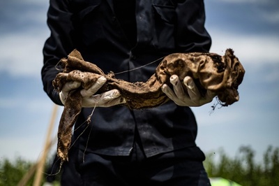 旧「IS首都」ラッカ近郊で200人の遺体発見、シリア北部