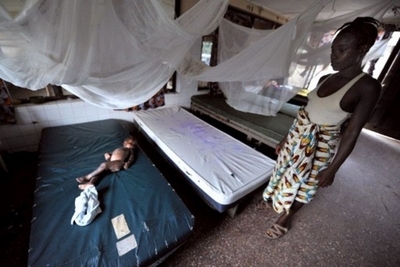 温暖化で睡眠病が南部アフリカにも拡大する恐れ、米研究