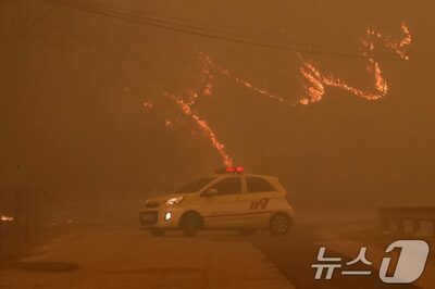 「山火事はもう日常」気候災害としての対策急務…韓国・専門家が警鐘