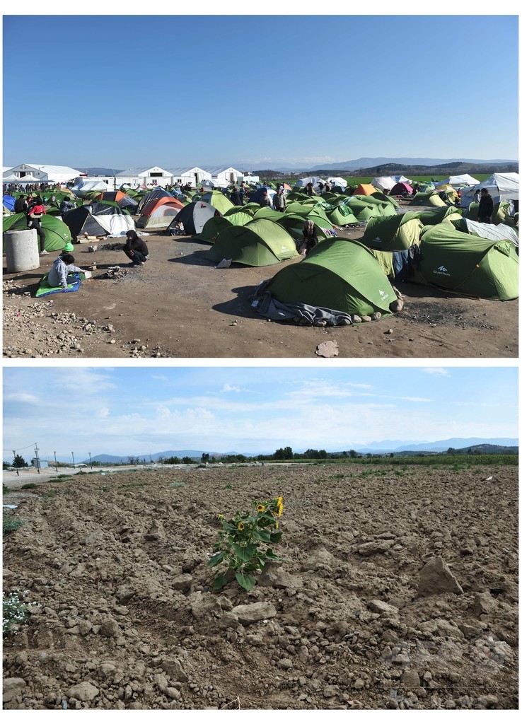 ギリシャ国境沿いの難民キャンプ、撤去から3か月