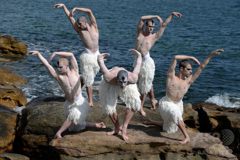 男性ダンサーによる「白鳥の湖」、シドニー公演のフォトコール