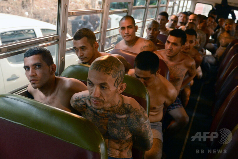 【AFP記者コラム】死を見る目──エルサルバドルのギャングたち