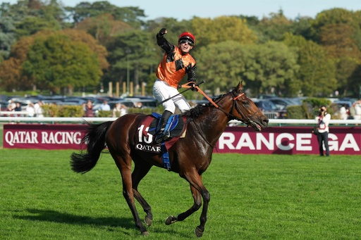 【貴重】　2023凱旋門賞馬　エースインパクト　C・デムーロ騎手直筆サインパネル エースインパクト優勝、スルーセブンシーズ4着 凱旋門賞 写真6枚 国際