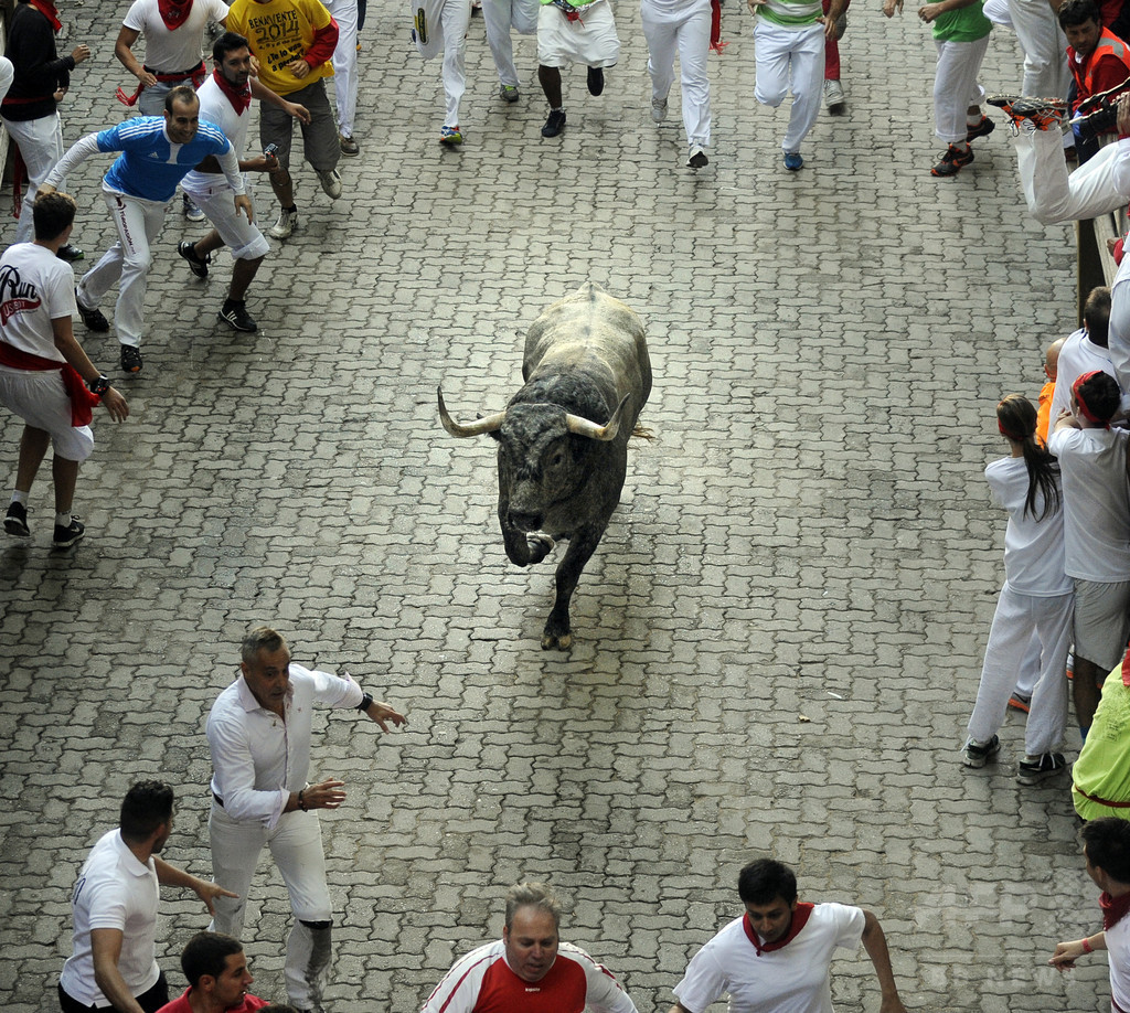 牛追い祭りで2人死亡、スペイン 牛追い祭りで2人死亡、スペイン