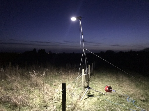 Led街灯で虫の個体数減少 産卵や摂食行動に影響か 英研究 写真4枚 国際ニュース Afpbb News