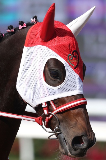 ラヴズオンリーユーがブリーダーズカップ制覇 日本馬初の快挙 写真9枚