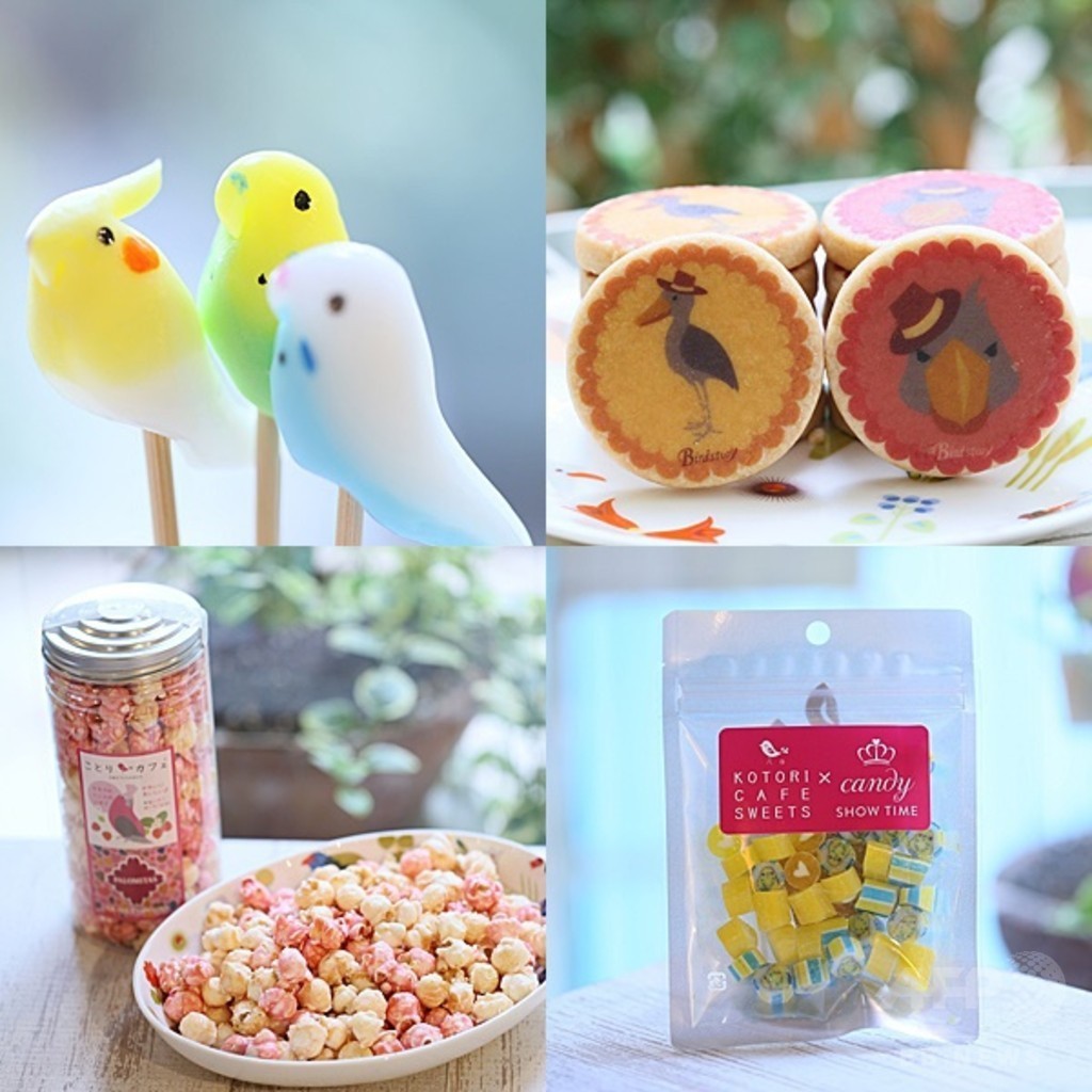 ことりスイーツなど販売、「ことりカフェ」展示即売会へ