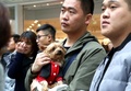 ボランティアに抱えられ、飼い主を待つ犬（2017年11月12日撮影）。(c)CNS/張海雯