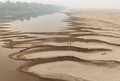 ブラジル北部アマゾナス州ウマイタを流れるマデイラ川の砂州に沿って飲み水を運ぶ人々（2024年9月7日撮影）。(c)MICHAEL DANTAS / AFP