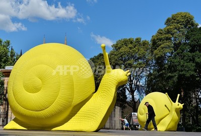超リアル巨大カタツムリとベビーカタツムリオブジェセット*•¸¸♡໒꒱ シドニーに巨大カタツムリ、20日からアートイベント 写真4枚 国際