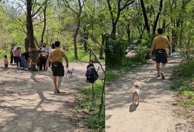 幼稚園児のそばで犬を放し飼い…韓国の公園・注意されて「消えろ」と逆ギレ、飼い主に非難殺到