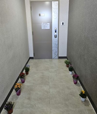 韓国・姑に愛犬を預けて新婚旅行、家に帰ると…「良くない結末」の予想に反した物語