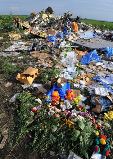 娘一家失った93歳男性が「失意の死」、マレーシア機撃墜