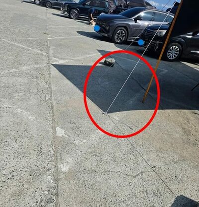 韓国・公営駐車場の床にドリルで穴…「マナー無視キャンプ族」のテント設営に批判殺到