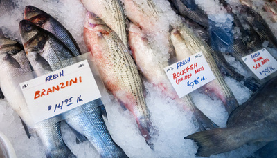 米国で売られる魚介類、2割にラベル偽装の疑い 高価な魚ほど不正確