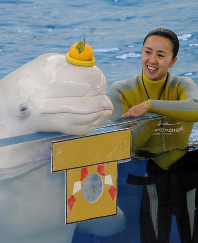 海の動物たちが大活躍、八景島シーパラダイスの正月イベント