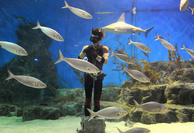 ｢脱出王｣にちなんだ水中脱出マジック 豪メルボルン