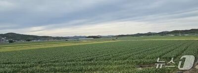 韓国・昌寧で見た未来農業…AIトラクター普及へ制度整備が課題 [韓国記者コラム]