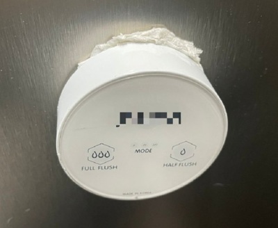 韓国・映画館のトイレ、流そうとすると…ボタンが英語表記で戸惑って