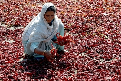 「唐辛子スプレー攻撃」乗り越え、ミス・プエルトリコの栄冠獲得