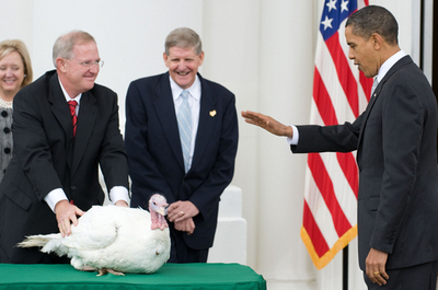感謝祭の七面鳥にオバマ大統領が「恩赦」、余生はディズニーランドで